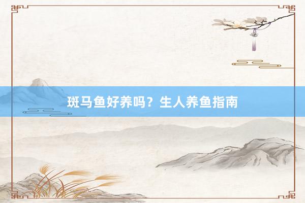 斑马鱼好养吗？生人养鱼指南